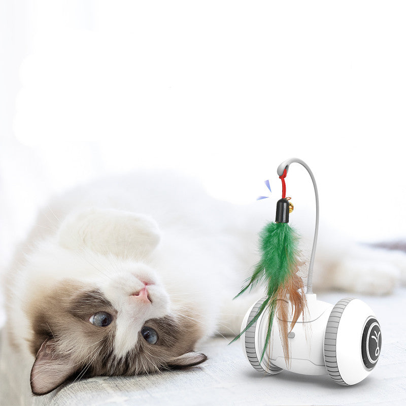 Load image into Gallery viewer, Interactive Cat Toy With Interchangeable Heads  Pet Feather Toys
